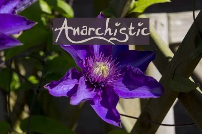 Anarchistic Example 3