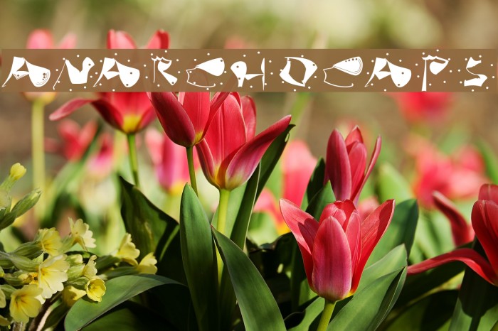 AnarchoCaps Font examples
