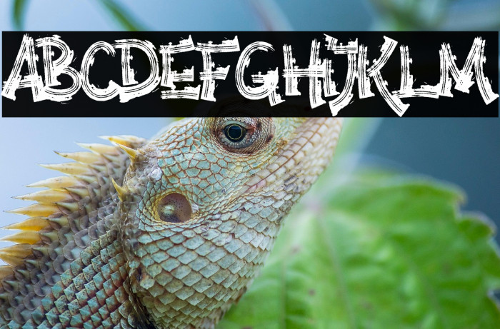 Anarchy Brothers Example 2