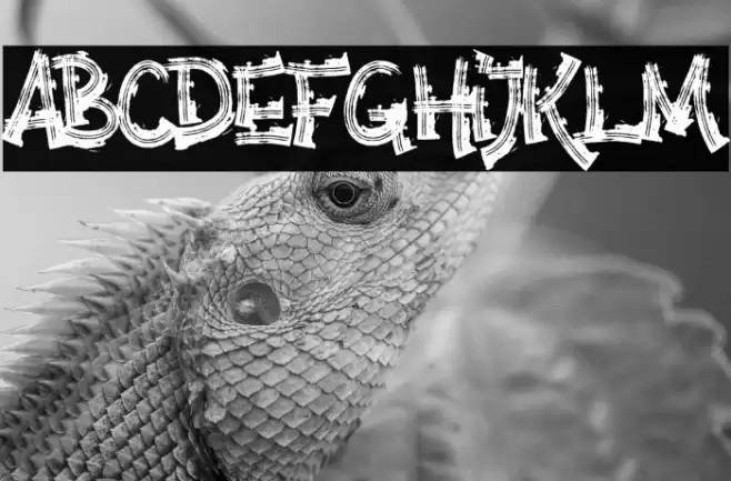 Anarchy Brothers Font examples