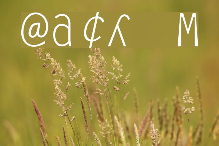 Anarchy Mono Font examples