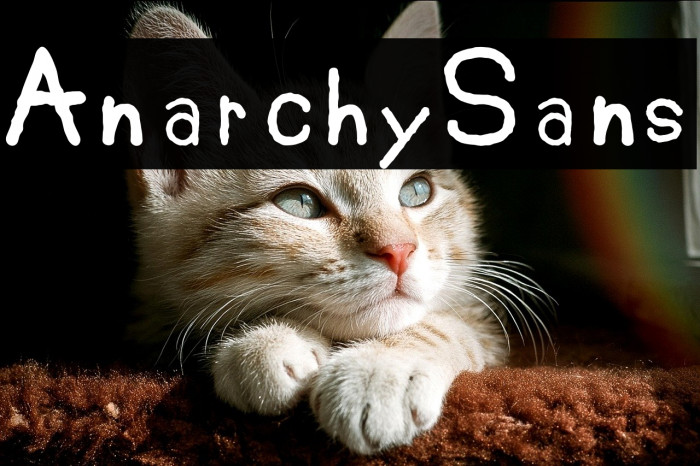 AnarchySans Example 1