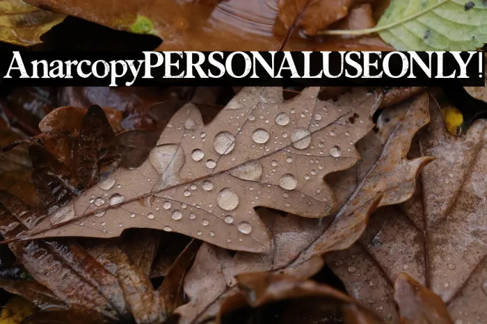 Anarcopy PERSONAL USE ONLY! Example 3