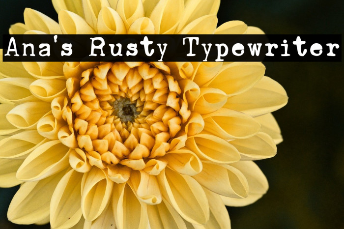 Ana's Rusty Typewriter Example 1