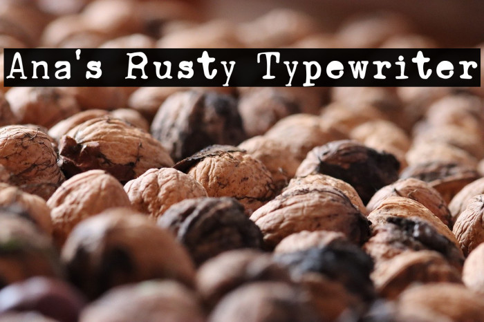 Ana's Rusty Typewriter Example 2