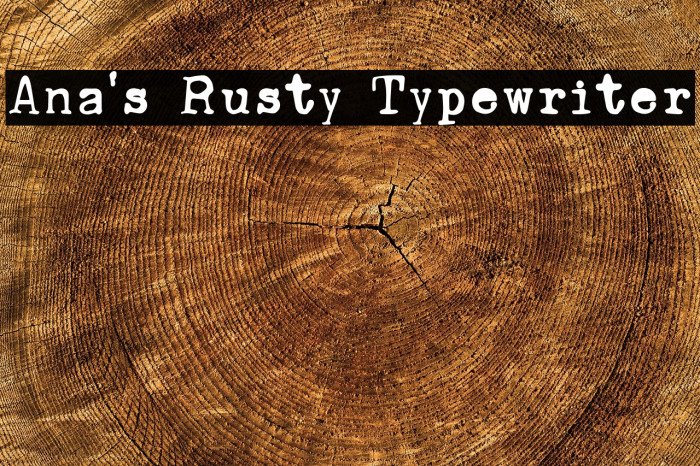 Ana's Rusty Typewriter Example 3
