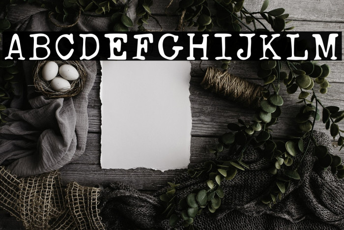 AnasRustyTypewriter Example 1