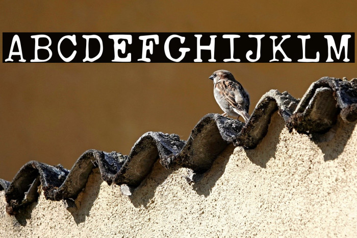 AnasRustyTypewriter Example 2