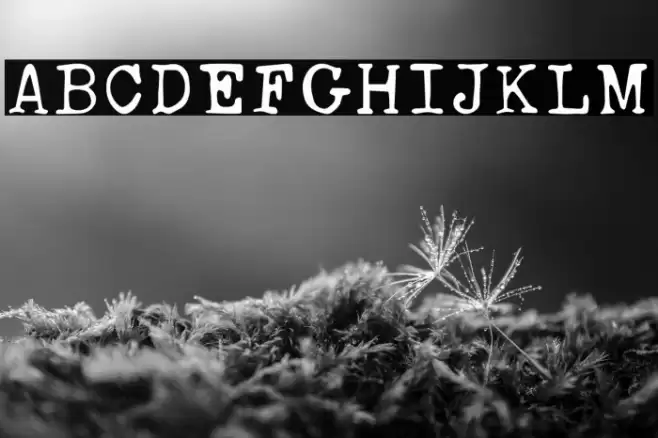 AnasRustyTypewriter Font examples