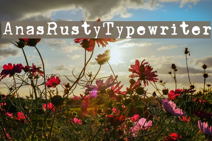 AnasRustyTypewriter Font examples