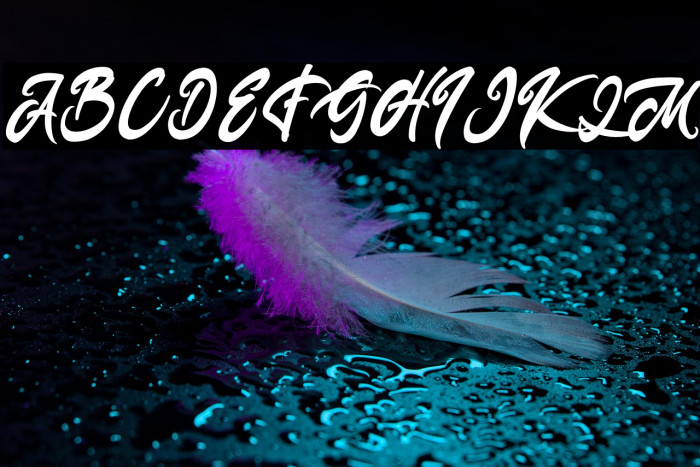 Anasite Malela 3 Example 2