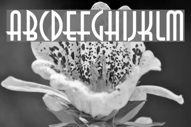 Anastasia Regular Font examples