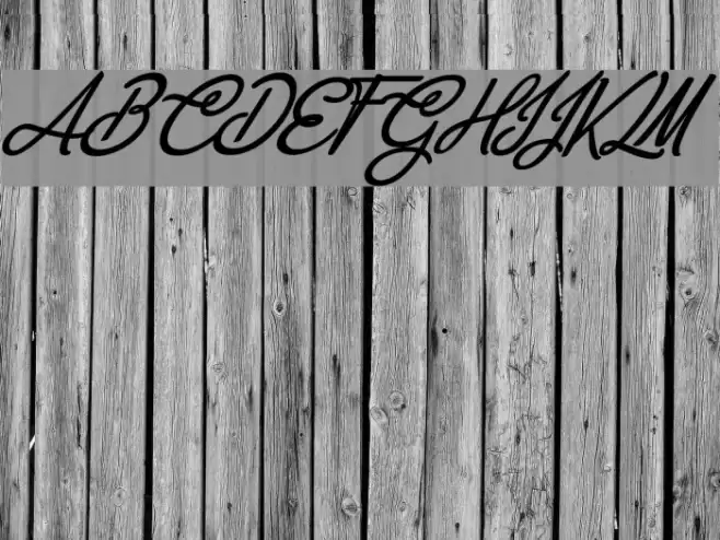 Anastasia Script Personal Use Regular Font examples
