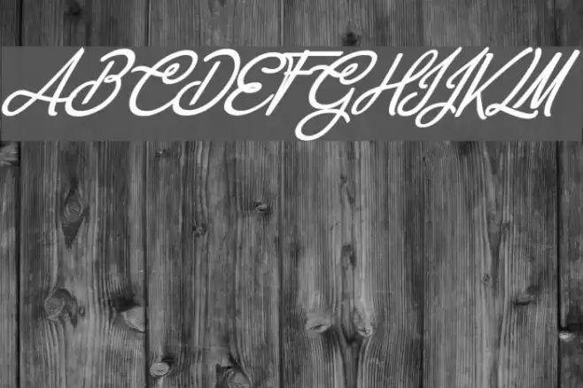 Anastasia Script Personal Use Regular Font examples