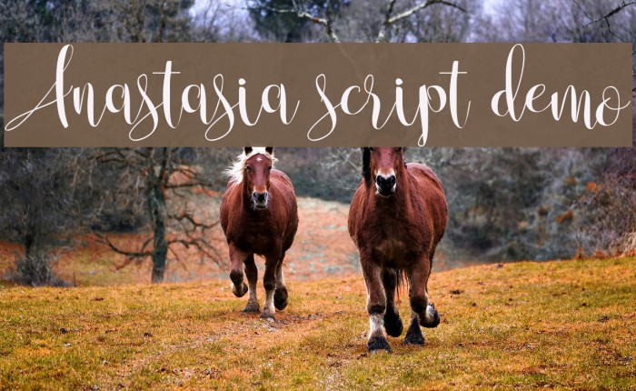 Anastasia script. Anastasia script