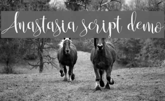 Anastasia script [demo] Font examples