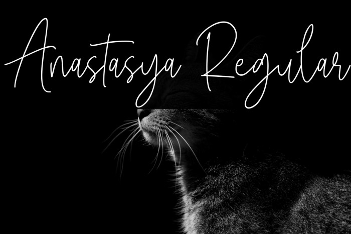 Anastasya Regular Example 2