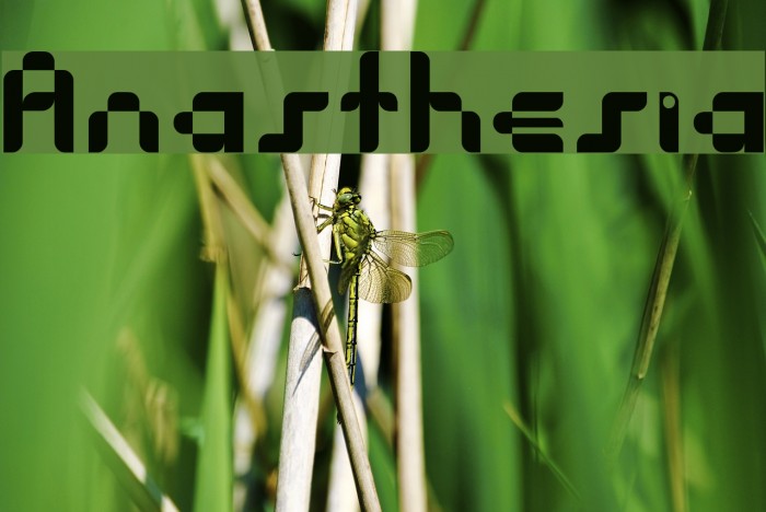 Anasthesia Font examples