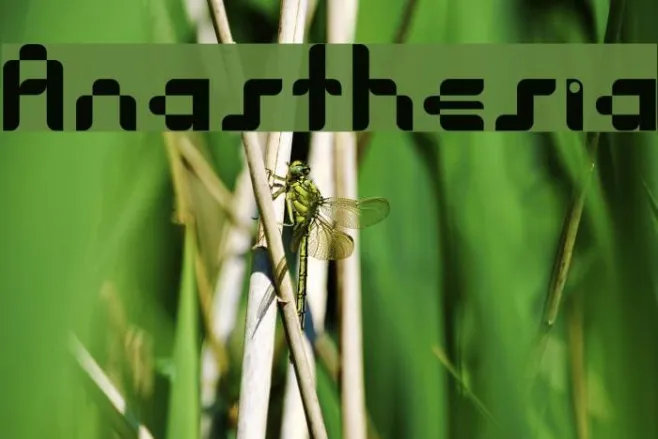 Anasthesia Example 2