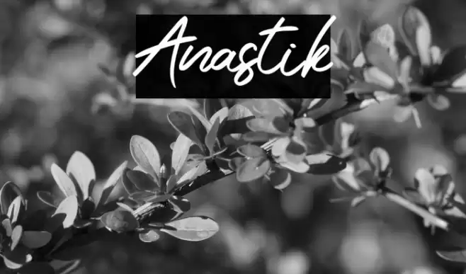Anastik Font examples