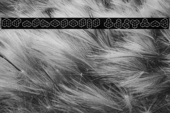 Anastomosis Regular Font examples