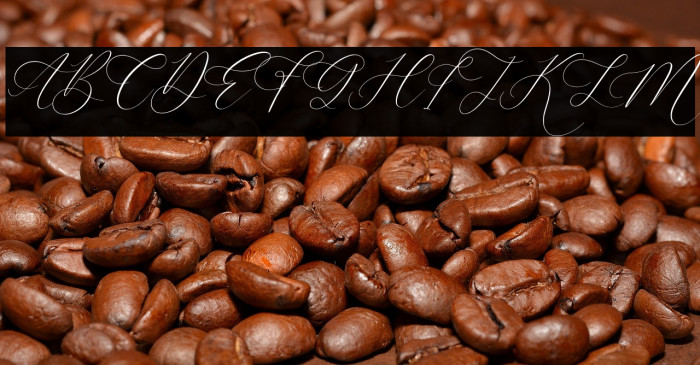 Anatasya Lenttera Italic Example 2