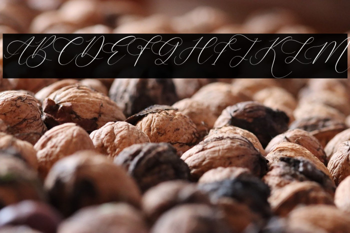 Anatasya Lenttera Italic Example 3