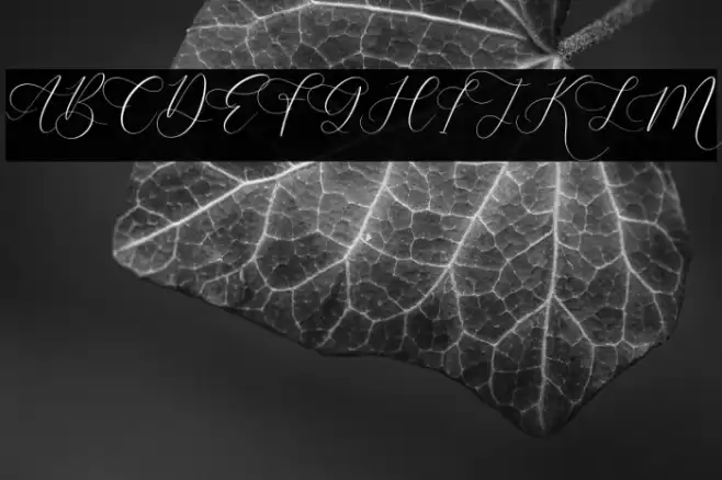 Anatasya Lenttera Font examples