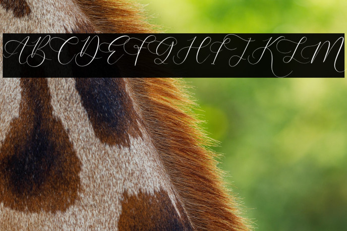 Anatasya Lenttera Example 3