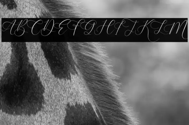 Anatasya Lenttera Font examples