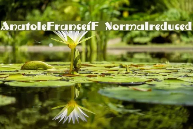 AnatoleFranceiF-Normalreduced Example 2