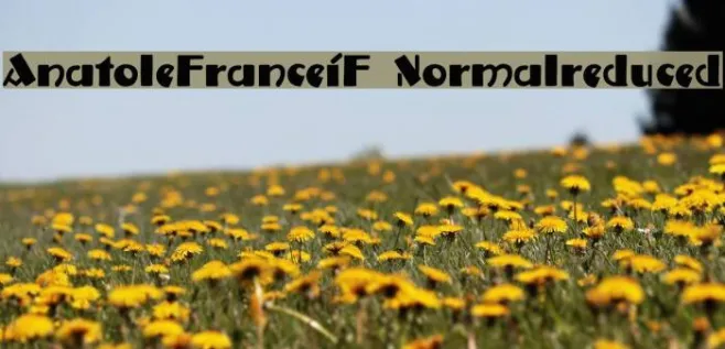 AnatoleFranceiF-Normalreduced Example 3