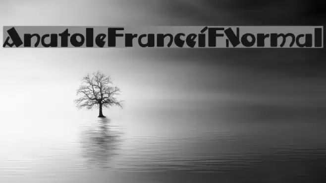 AnatoleFranceiFNormal Font examples