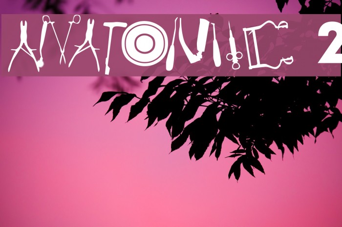 Anatomie 2 Font examples