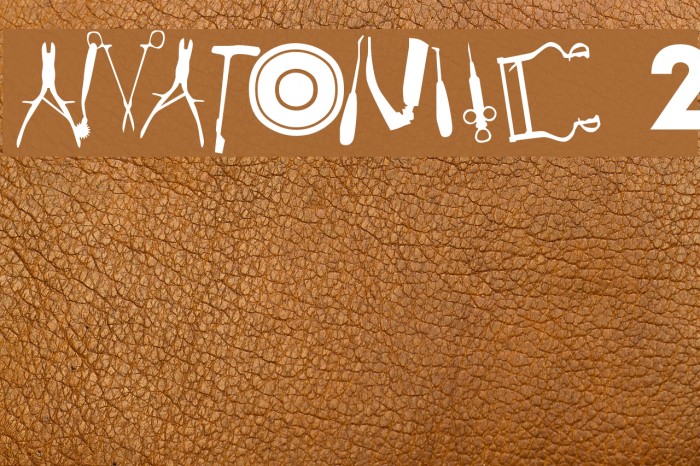 Anatomie 2 Font examples