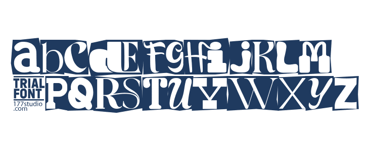 Anatomy History Demo Regular Lowercase