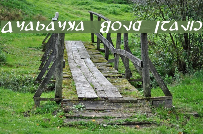Anayanka Bold Italic Font examples