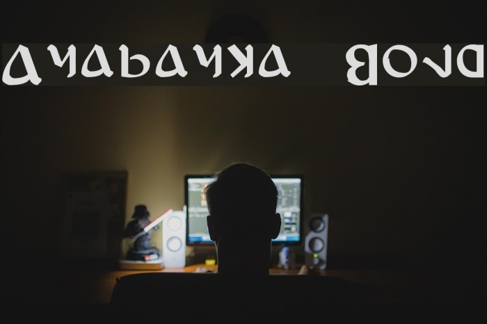 Anayanka Bold Font examples