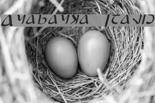 Anayanka Italic Font examples