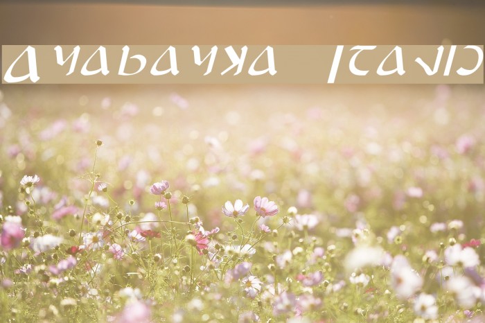 Anayanka Italic Example 3