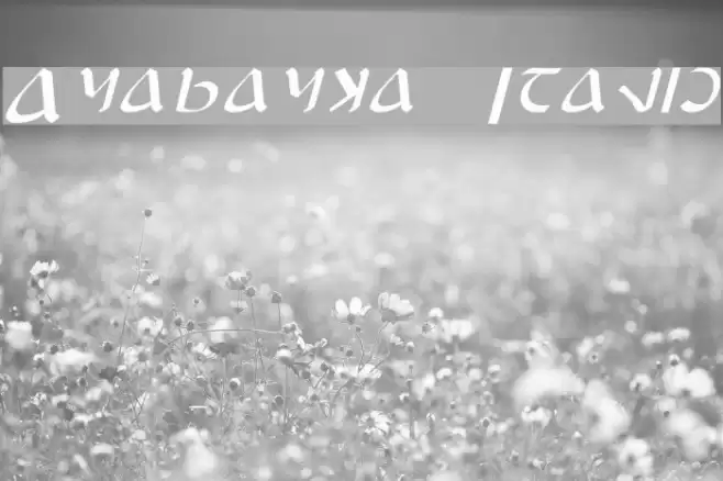 Anayanka Italic Font examples