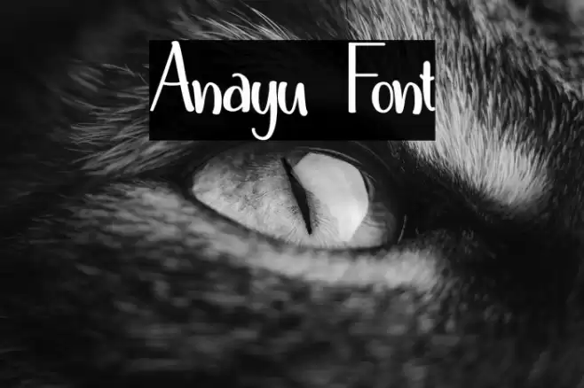 Anayu Font examples