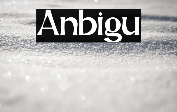 Anbigu Example 2