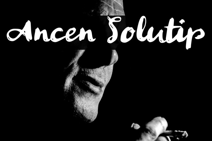 Ancen Solutip Example 2