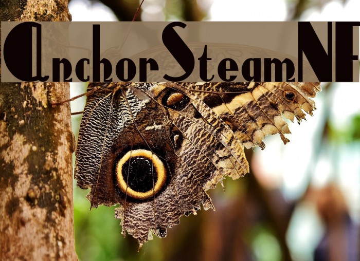 AnchorSteamNF Font examples