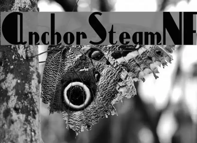 AnchorSteamNF Font examples