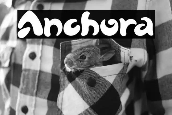 Anchora Font examples