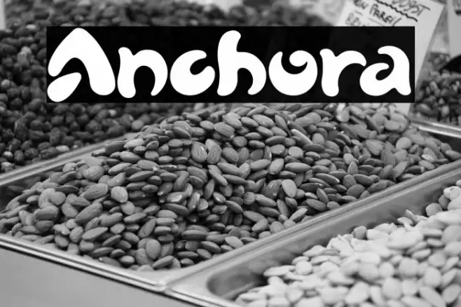 Anchora Font examples