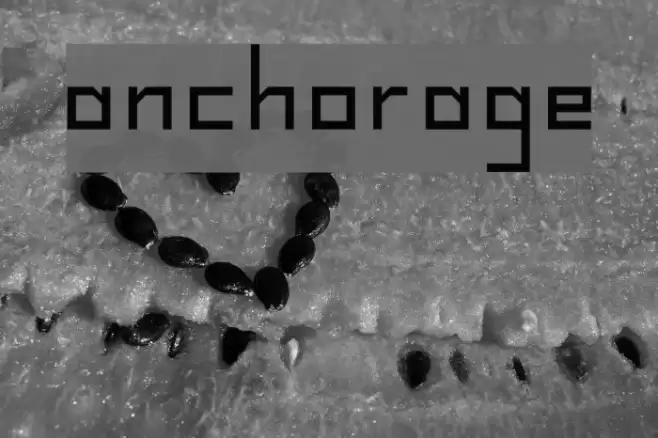 Anchorage Font examples