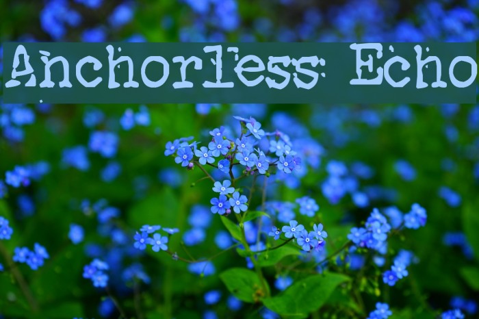 Anchorless Echo Font examples